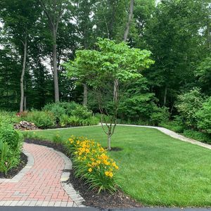 Meet your Posher, Rosemary